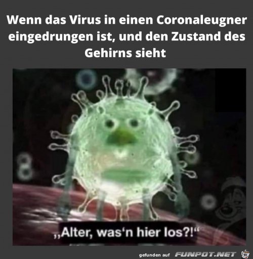 witzige Bilder aus verschiedenen Blogs