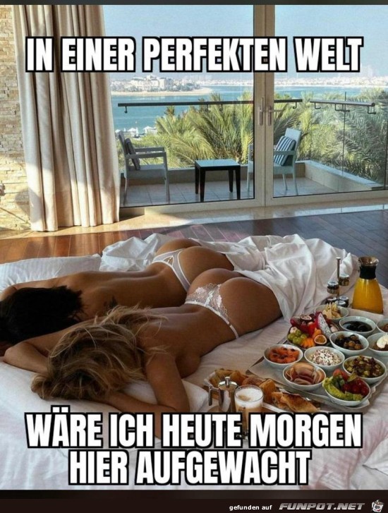 perfekte Welt