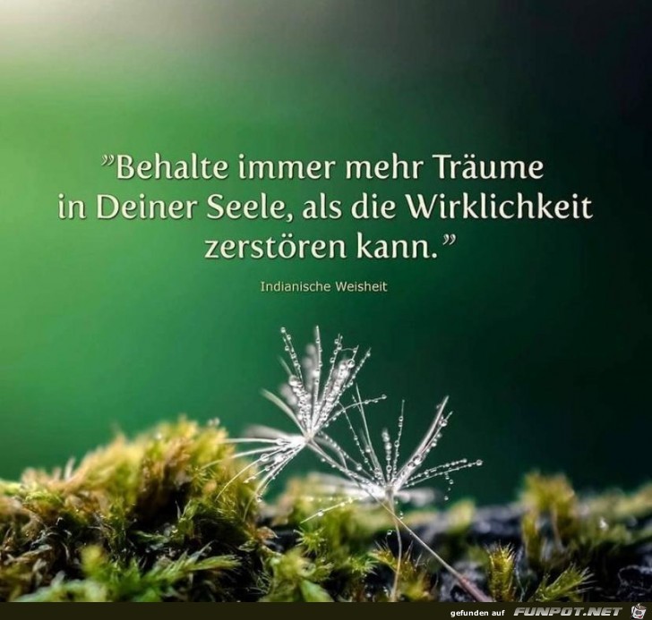 Behalte deine Trume