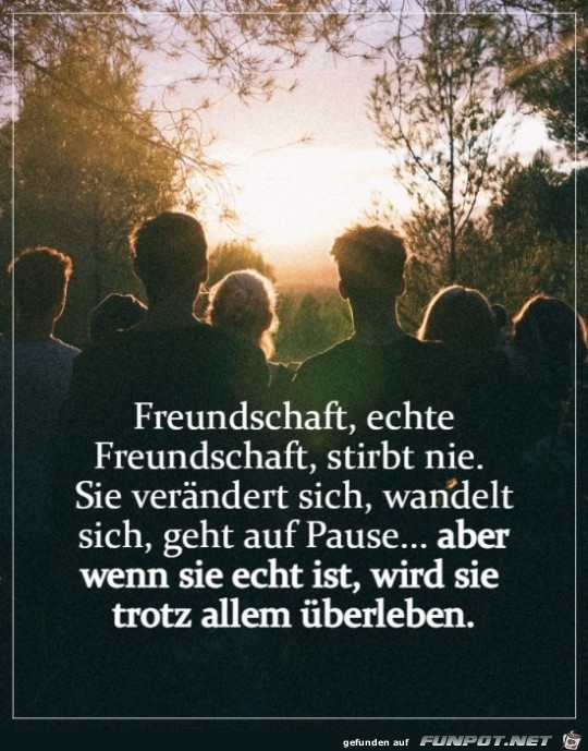 Freundschaft