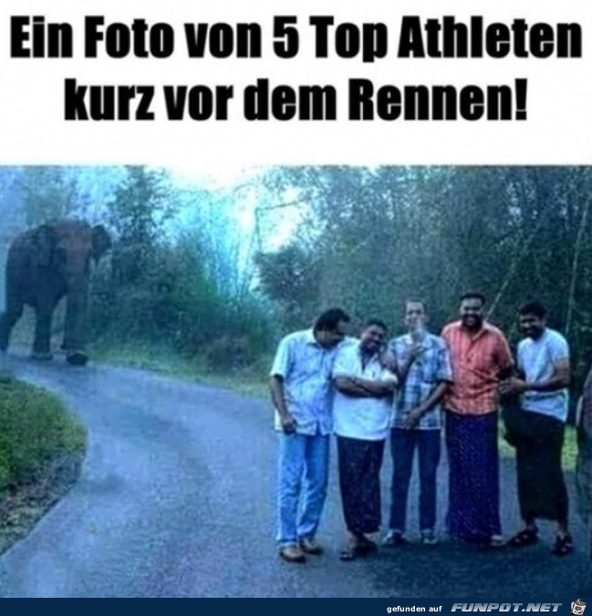 Das Rennen geht gleich los