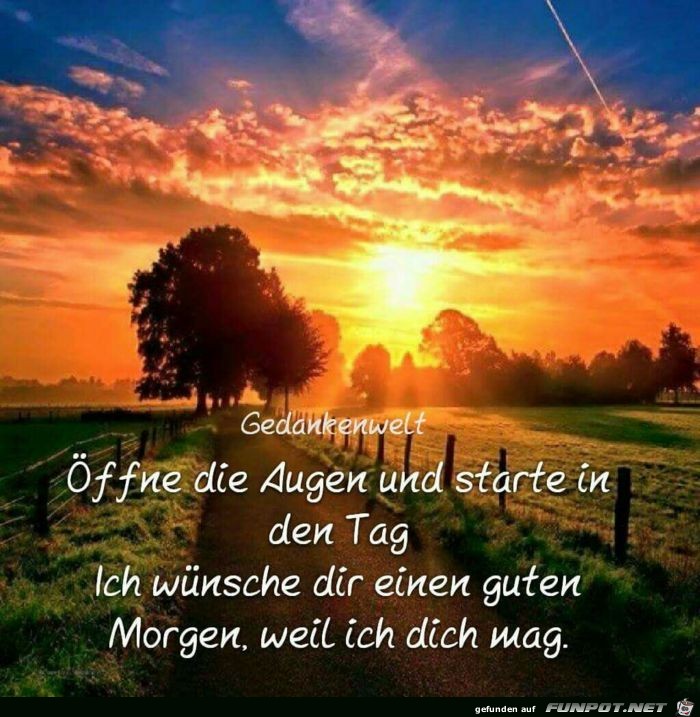 Guten Morgen