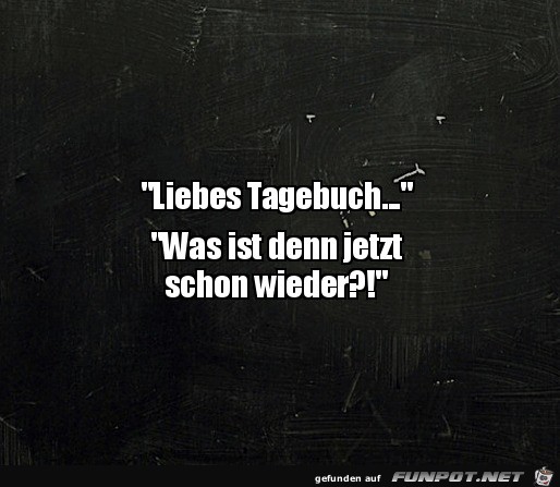 Tagebuch ist genervt