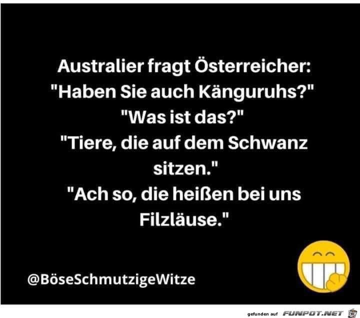 Australier fragt sterreicher...