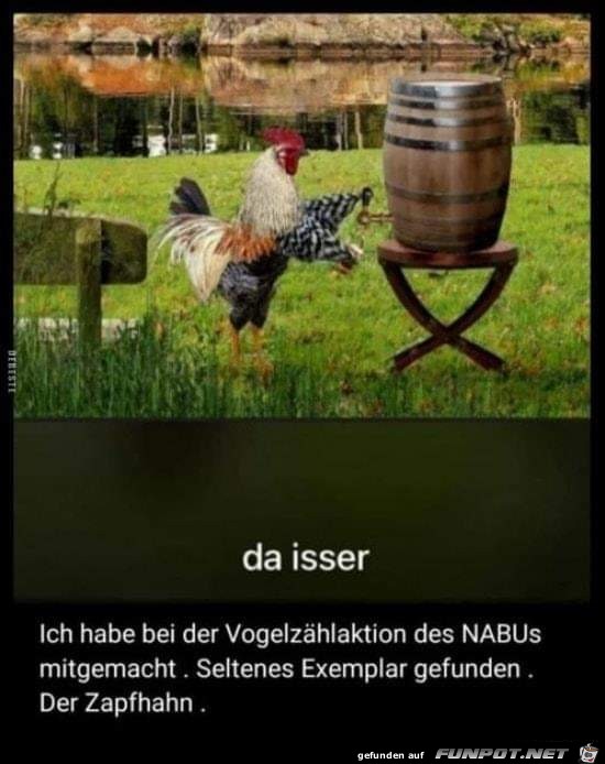 Zapfhahn...