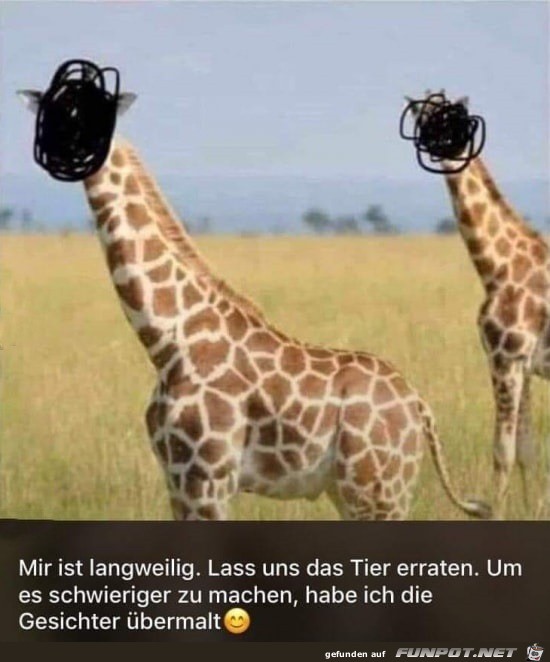 Tier erraten