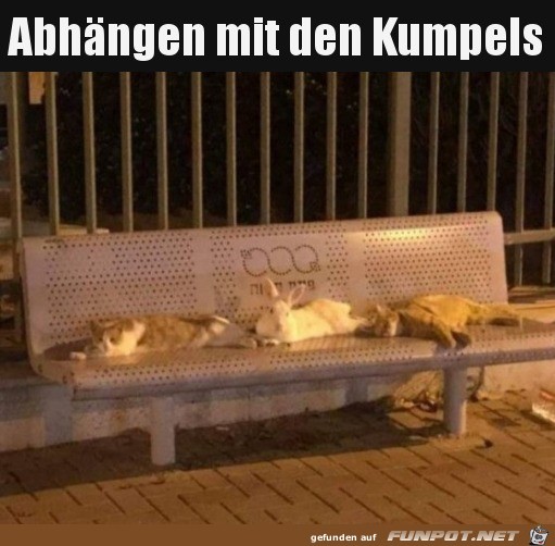 Mit Kumpels abhngen