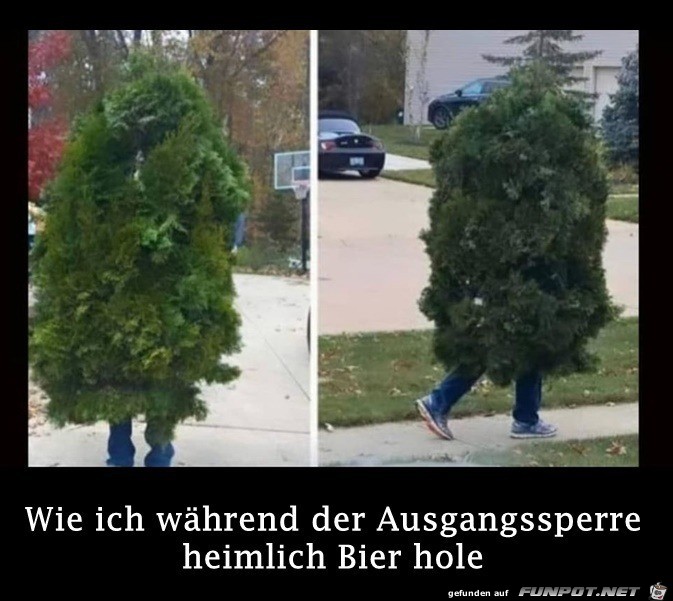 als Baum getarnt