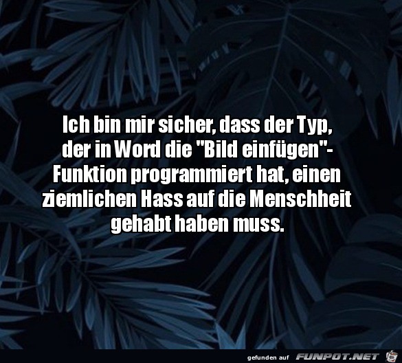 Programmierer von Word