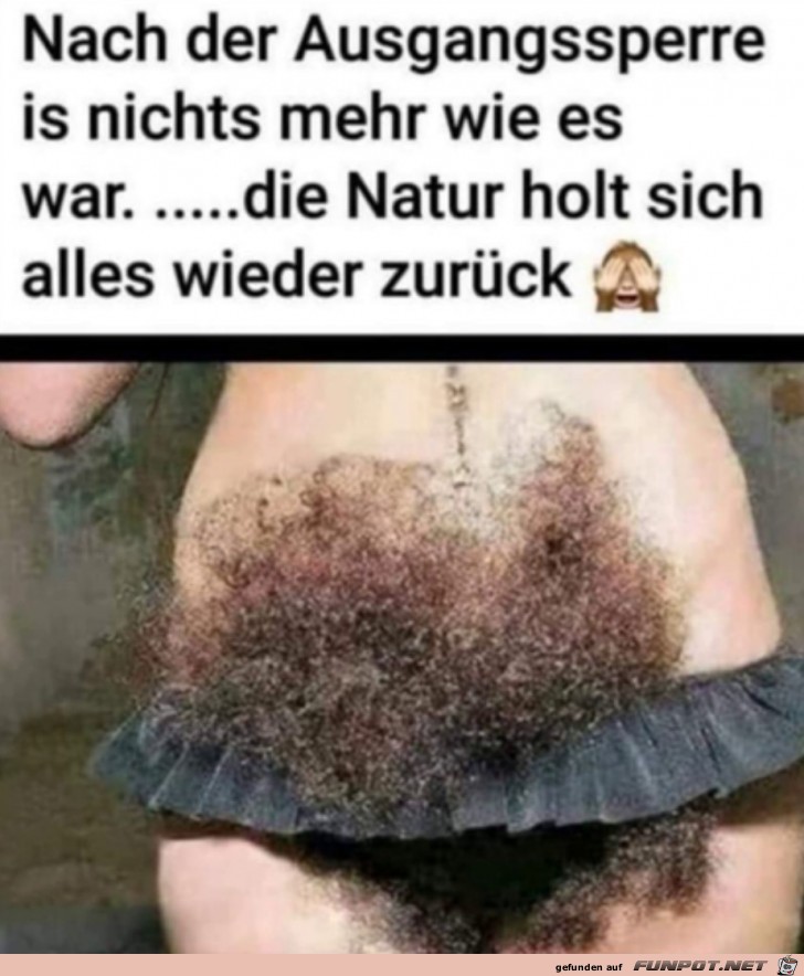 Die Natur holt sich alles zurck