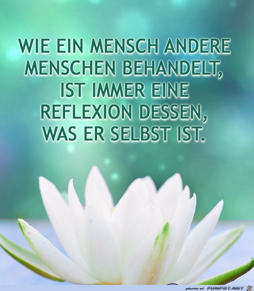 Eine Reflexion