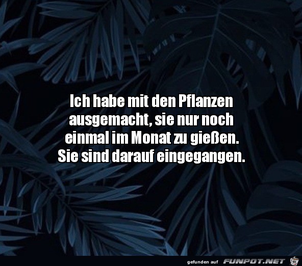 Die Pflanzen sind darauf eingegangen