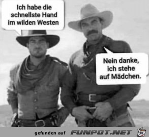 Wilder Westen