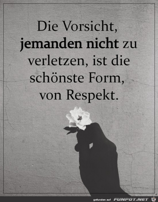 Respekt