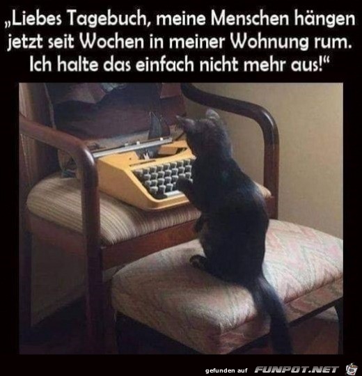 Liebes Tagebuch