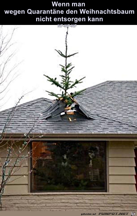 Weihnachtsbaum konnte nicht entsorgt werden