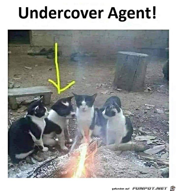 Ein Undercover Agent