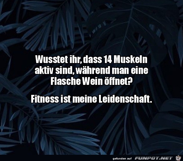 Weinflasche ffnen ist Sport