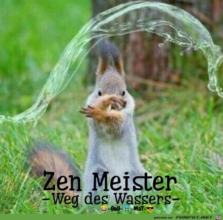 Weg des Wassers