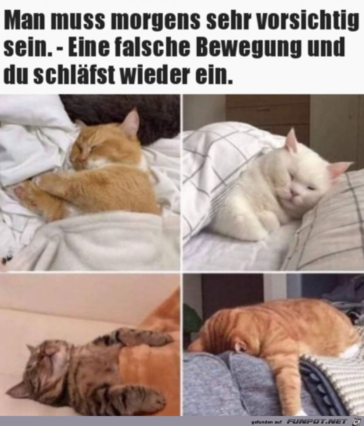 Schnell wieder eingeschlafen