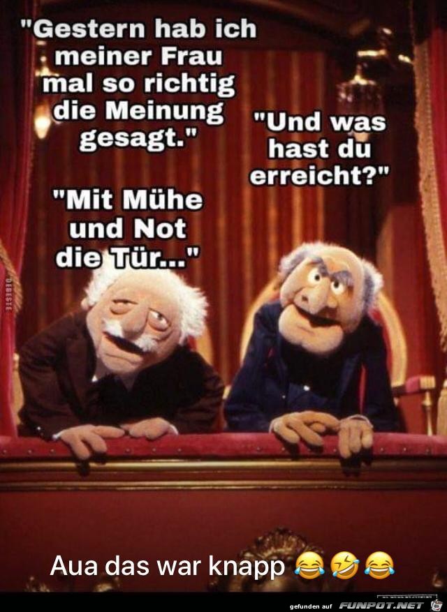 Meinung sagen