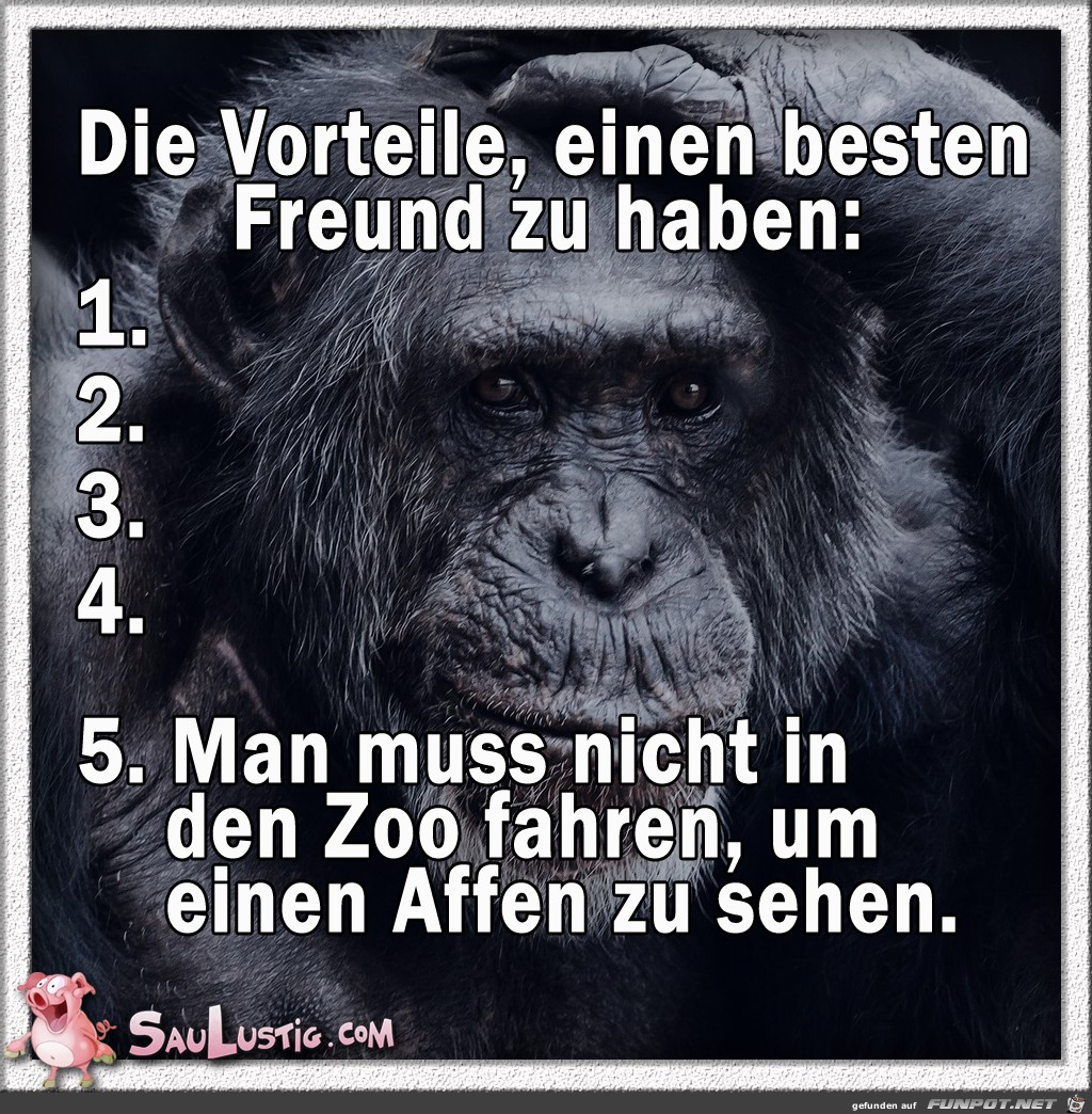 Vorteile-bester-Freund