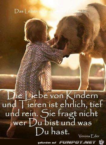 Die Liebe von Kindern