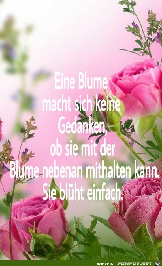 Eine Blume