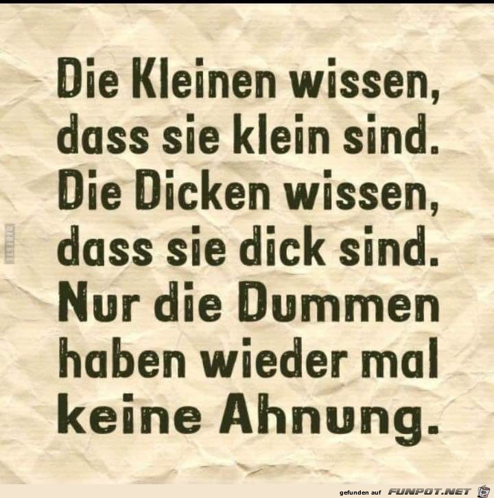 kluger Spruch