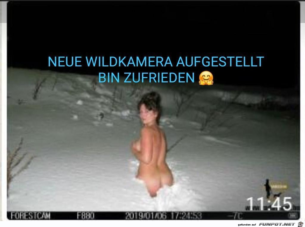 witzige frivole Bilder aus verschiedenen Blogs. Nicht...