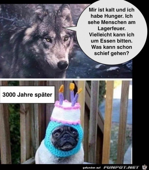 So ndern sich die Zeiten