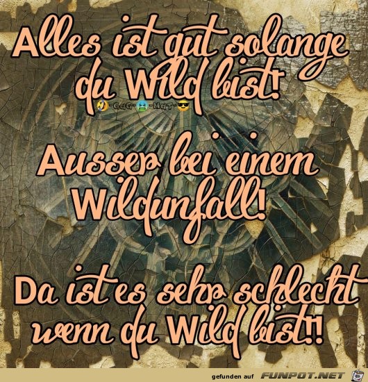 Sei Wild Sei Wild