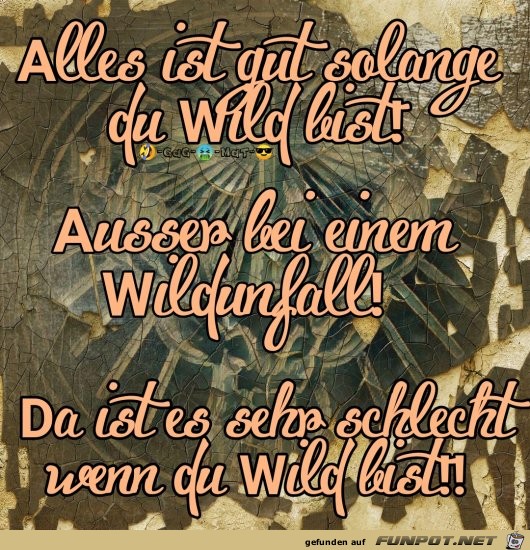 Sei Wild