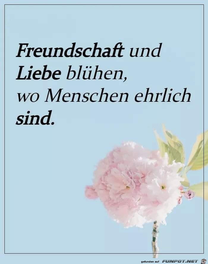 Freundschaft und liebe