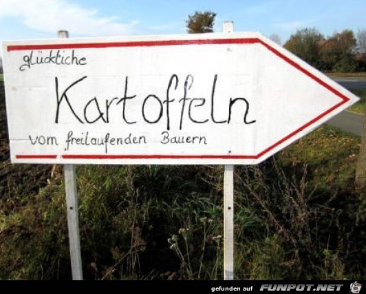 Kartoffeln