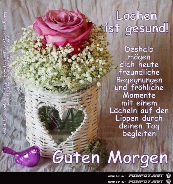 Lachen ist gesund...