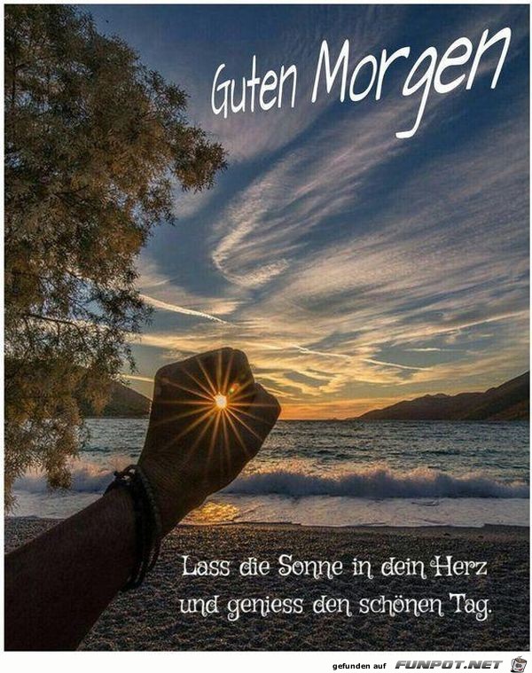 Guten Morgen