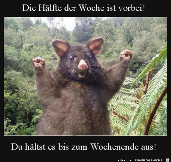 Die halbe Woche ist rum