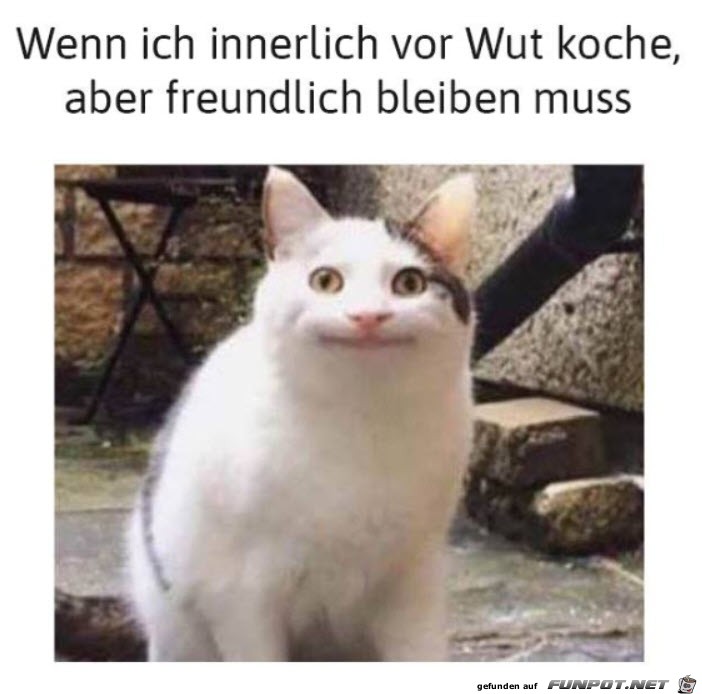 Wenn ich freundlich bleiben muss