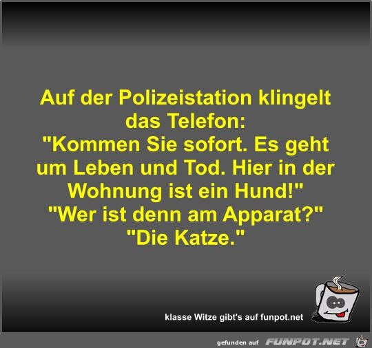 Auf der Polizeistation klingelt das Telefon