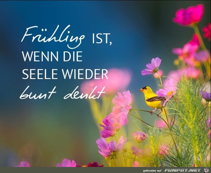 Frhling ist...