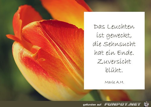 Das Leuchten ist...