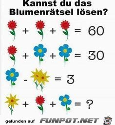 Kannst du das Blumenrtsel lsen ?