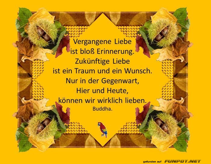 Vergangene Liebe Vergangene Liebe