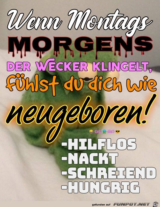 Montag Montag