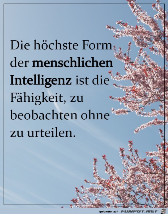 Die hchste Form der Intelligenz