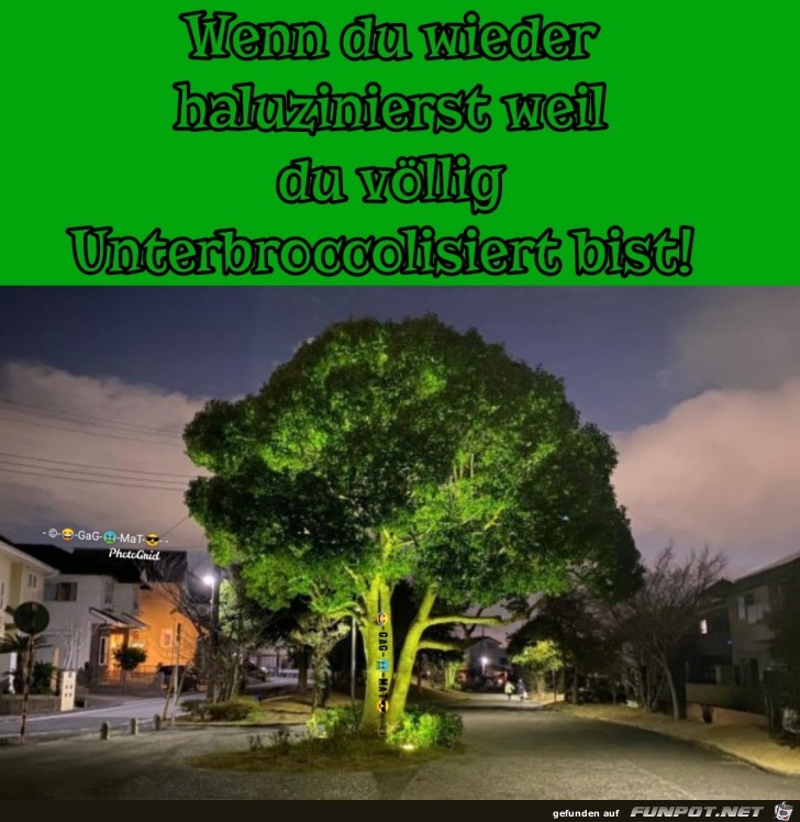 Unterbroccolisiert