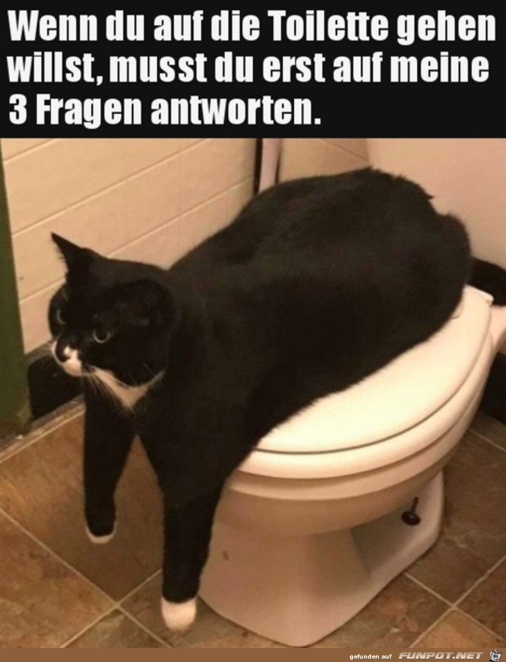 Erst musst du Fragen beantworten