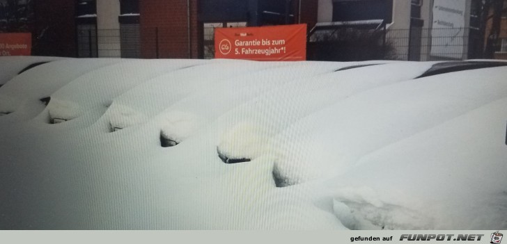 berraschung am Morgen. Finde ich das passende Auto?