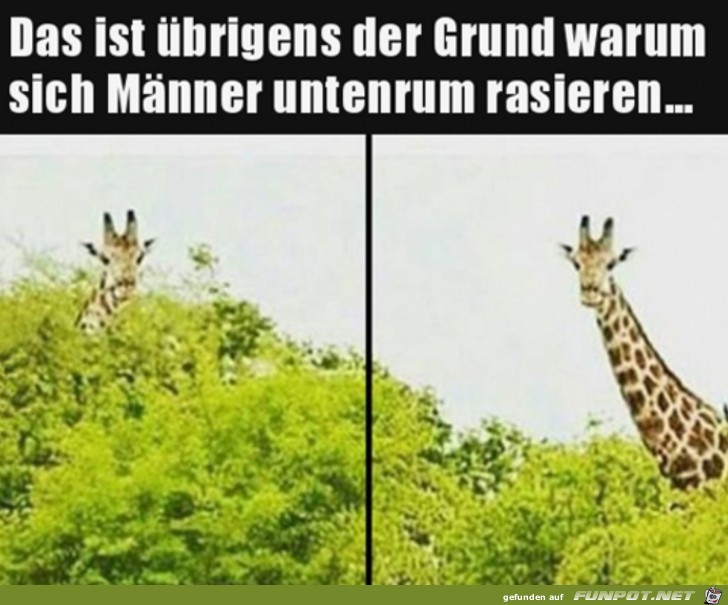 Jetzt ist alles klar